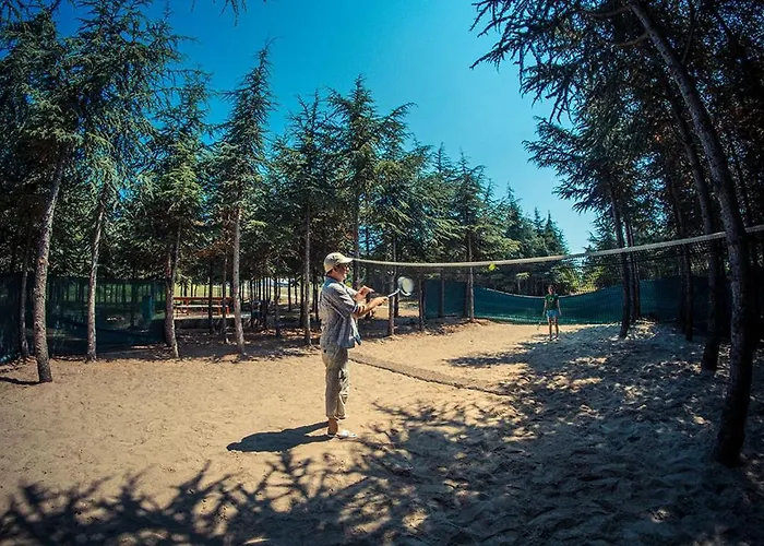 Paradise View * Σάνι Μπιτς