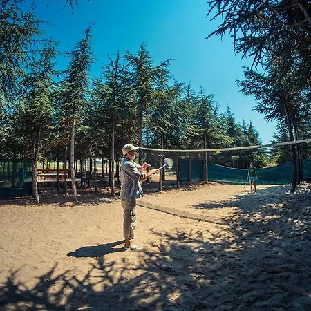 Paradise View * Слънчев бряг